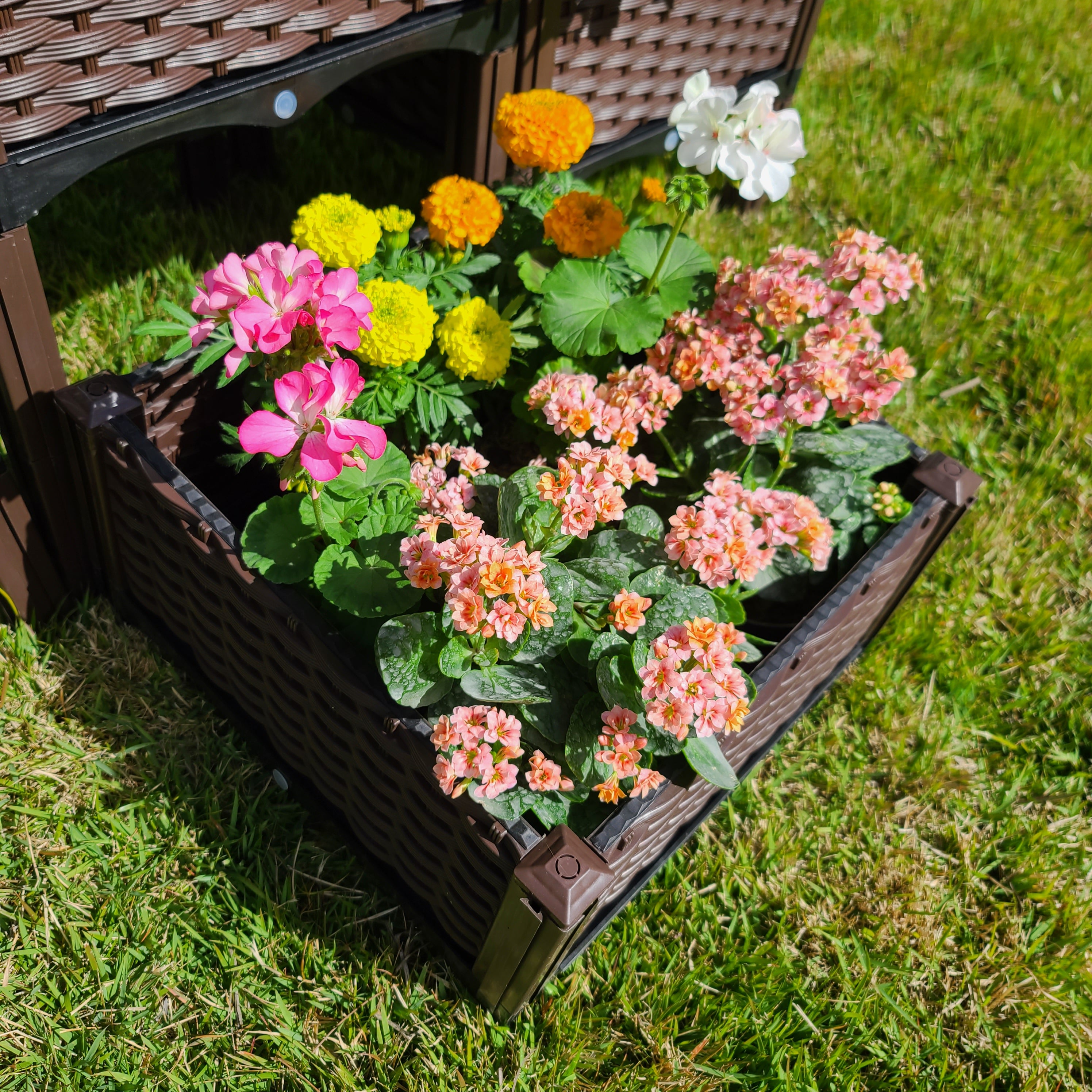 Flower and Plant Elevated Garden Planter For Outdoors and Indoors 2 Sets